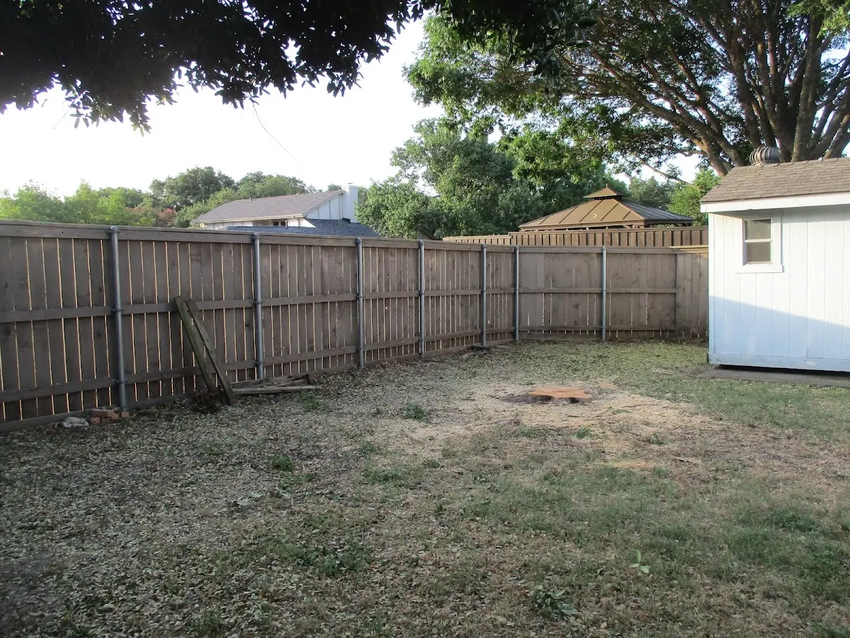 Cleared yard after professional tree removal in Bee Branch